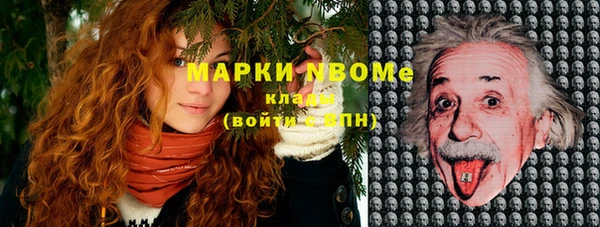 ешки Белокуриха