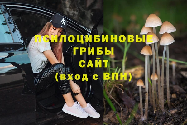 МДПВ Беломорск