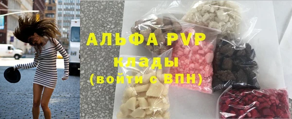ешки Белокуриха