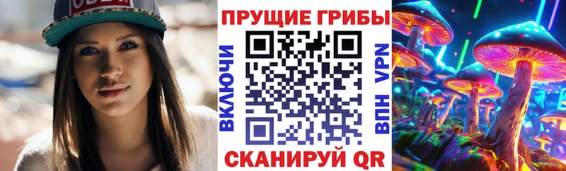 Галлюциногенные грибы Psilocybine cubensis  Купить  Воркута 