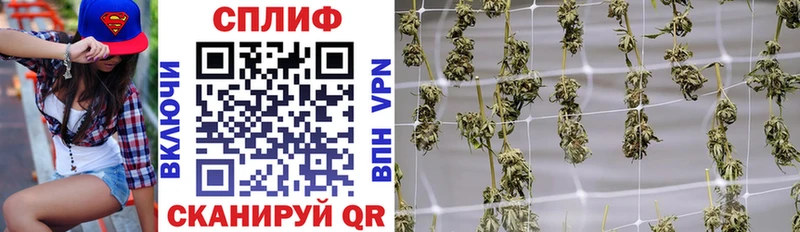 Конопля AK-47  Купить где  Воркута 